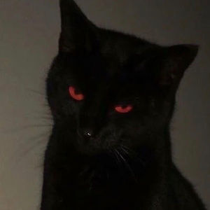 Meet your Posher, Lilah